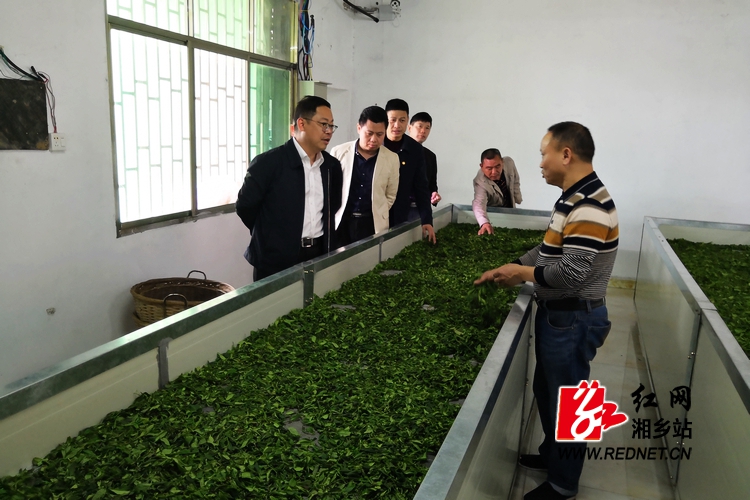 彭瑞林赴毛田鎮(zhèn)調研鄉(xiāng)村振興戰(zhàn)略實施情況(圖2)