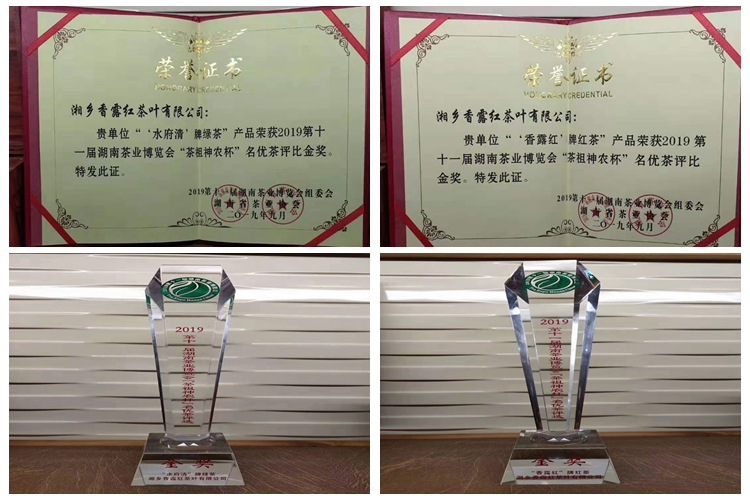 毛田鎮(zhèn)：“香露紅”2款茶葉獲十一屆湖南茶業(yè)博覽會金獎(圖1)