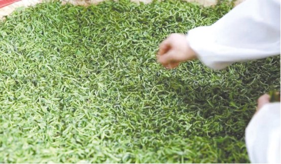 企業(yè)創(chuàng)始人(圖4)